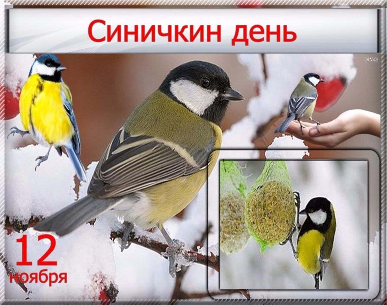 ФОТОКОНКУРС.