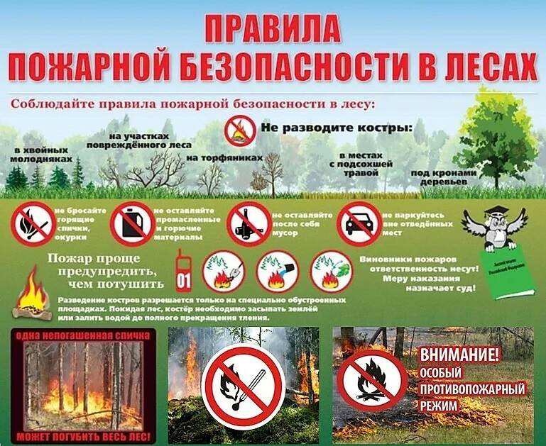 ПРОФИЛАКТИКА ПРИРОДНЫХ ПОЖАРОВ.
