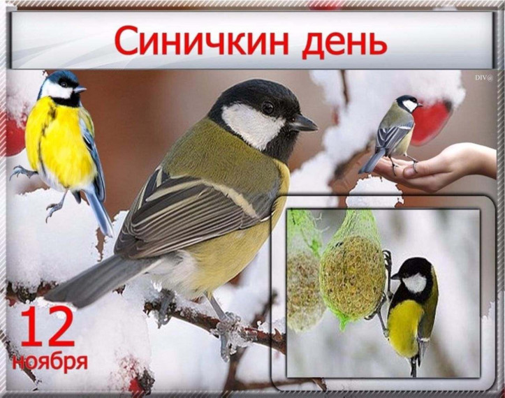 ФОТОКОНКУРС. ФОТОКОНКУРС.