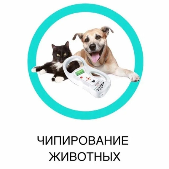 Информация по маркированию и регистрации собак и кошек на территории Шипуновского района.. Информация по маркированию и регистрации собак и кошек на территории Шипуновского района..