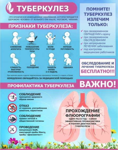 Профилактика туберкулеза. Профилактика туберкулеза.